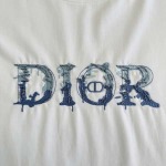 2026年4月19日新作DIOR半袖 tシャツ高品質/誕生日プレゼント/FF工場