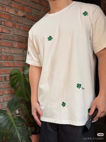 2026年4月19日新作DIOR半袖 tシャツ高品質/誕生日...