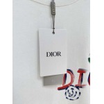 2026年5月7日入荷新作DIOR半袖 Tシャツ高級品/DUW工場