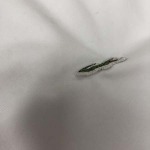 2026年5月13日春夏入荷新作LACOSTE半袖 tシャツ人気商品/FX工場