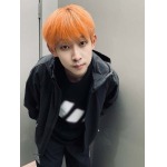 2026年5月15日春夏入荷新作adidas半袖 tシャツ人気商品/FX工場