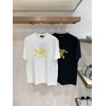 2026年6月2日入荷春夏新作ARCTERYX半袖Tシャツ高品質DH工場