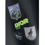 2026年6月2日入荷春夏新作Dior半袖Tシャツ高品質DH工場