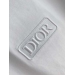2026年6月2日入荷春夏新作Dior半袖Tシャツ高品質DH工場