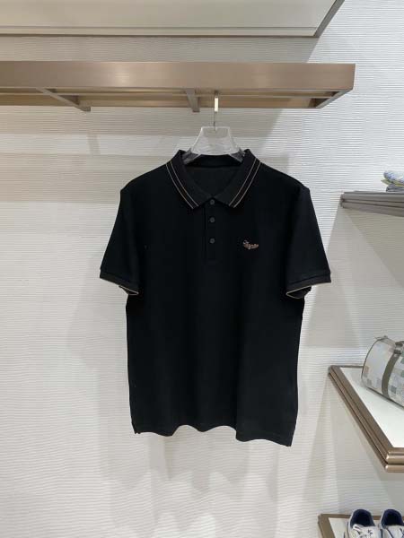 2026年6月4日入荷春夏新作Zegna半袖Tシャツ高品質D...