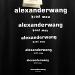 2026年6月16日春夏新作Alexander Wang半袖 tシャツ原版復刻人気で【极品】/YGY工場