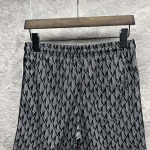 2026年6月22日春夏新作LACOSTE半ズボン高品質人気の商品/YGY工場