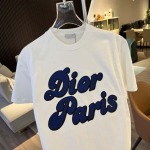 2026年6月23日春夏新作Dior半袖 tシャツ高品質人気の商品/YGY工場