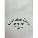 2026年6月23日春夏新作DIOR半袖 tシャツ高品質人気の商品/YGY工場