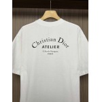 2026年6月23日春夏新作DIOR半袖 tシャツ高品質人気の商品/YGY工場