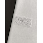 2026年6月25日春夏新作Dior半袖 tシャツ高品質人気の商品/YGY工場