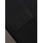 2026年6月25日春夏新作Dior半袖 tシャツ高品質人気の商品/YGY工場