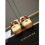2026年7月18日入荷新品COACHカジュアルシューズ/スニーカー｜メンズ靴人気本革製ギフト/誕生日/TL工場