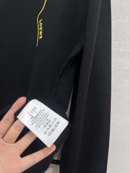 2026年8月7日入荷秋冬新作Loeweセーター高級品/LD工場