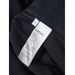 2026年9月3日秋冬新作Loeweニットのセーター高品質人気の商品/YGY工場