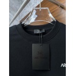 2026年9月9日秋冬新作ARCTERYXスウェット高品質人気の商品