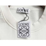 2026年9月9日秋冬新作LOEWEスウェット高品質人気の商品