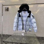 2026年9月11日秋冬新作The North Faceダウンジャケット高品質人気の商品/YGY工場