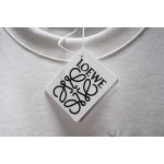 2026年9月14日秋冬新作LOEWE半袖 tシャツ高品質人気の商品/YGY工場