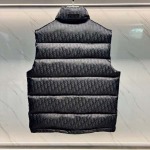 2026年9月17日秋冬新作DIORダウンジャケット高品質人気の商品/ZZZ工場