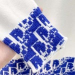 2026年10月20日秋冬Dior新作厚いセーター高品質 人気商品 /TY工場