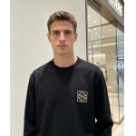 2026年10月26日入荷秋冬新作loewe長袖Tシャツ高級品超厳選★入手困難/誕生日プレゼント/LD工場