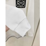 2026年10月29日入荷秋冬新作Loeweパーカー高級品/誕生日プレゼントM-4xl/KD工場