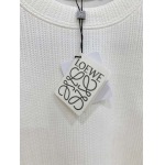 2026年10月29日入荷秋冬新作Loeweパーカー高級品/誕生日プレゼントM-4xl/KD工場