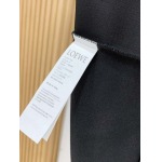2026年10月29日入荷秋冬新作Loeweパーカー高級品/誕生日プレゼントM-4xl/KD工場