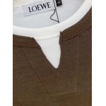 2026年10月29日入荷秋冬新作Loeweパーカー高級品/誕生日プレゼントM-4xl/KD工場