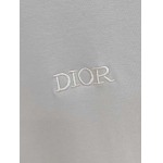 2026年10月29日入荷秋冬新作Diorパーカー高級品/誕生日プレゼントM-4xl/KD工場